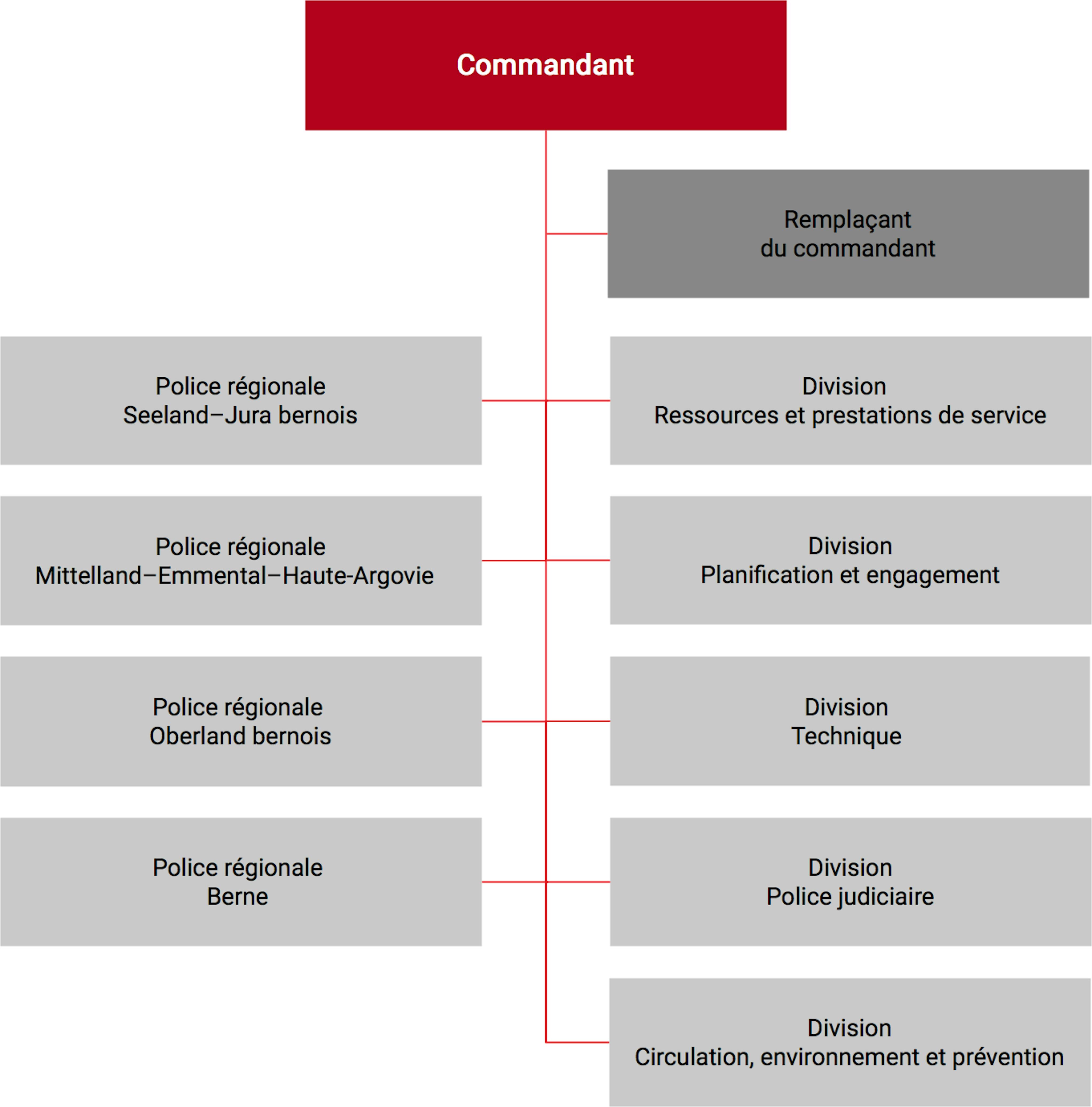 L’organisation